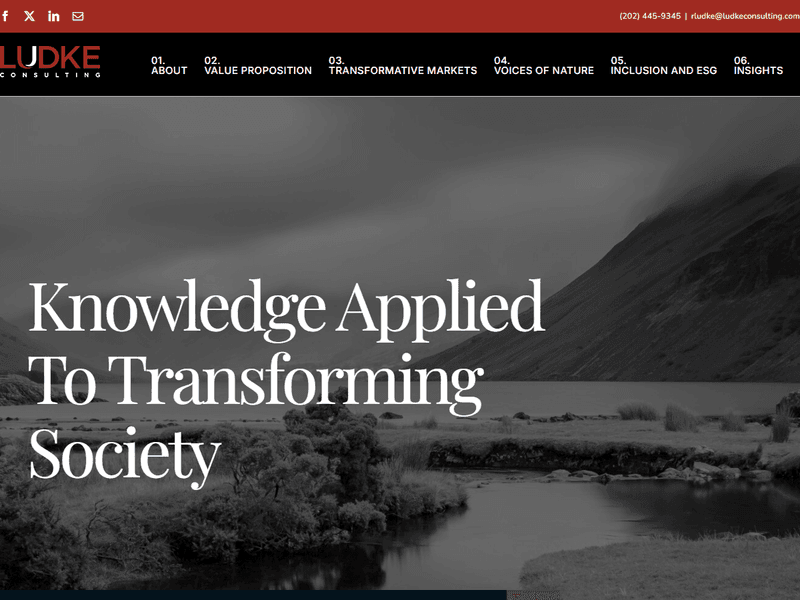 Ludke Consulting — portfolio