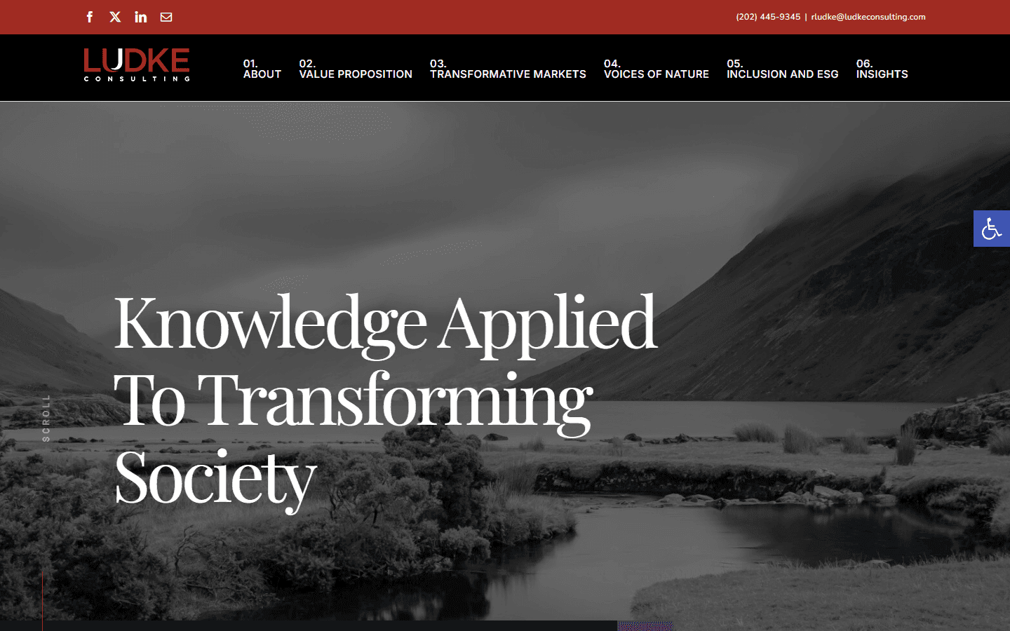 Ludke Consulting — portfolio